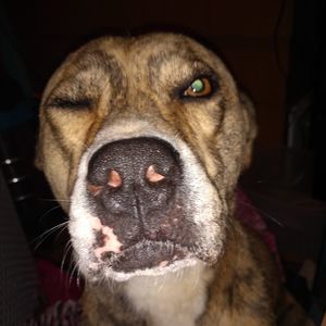 Meet your Posher, Destiny